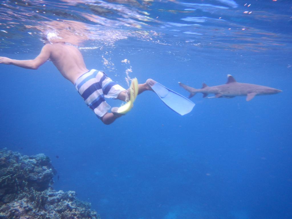 Naqalia Lodge Wayasewa Island Eksteriør billede
